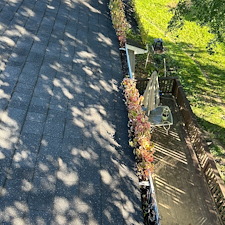 Overgrown-Gutters-in-Stephens-City-Virginia 3